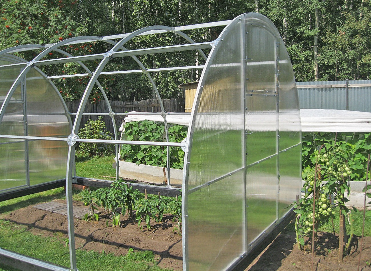 Теплица ОРЕХ