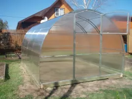 «Кремлёвская теплица»