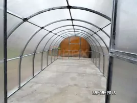 Теплица «ОРЕХ» шаг 0,65 м