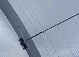 Подвязка в теплице