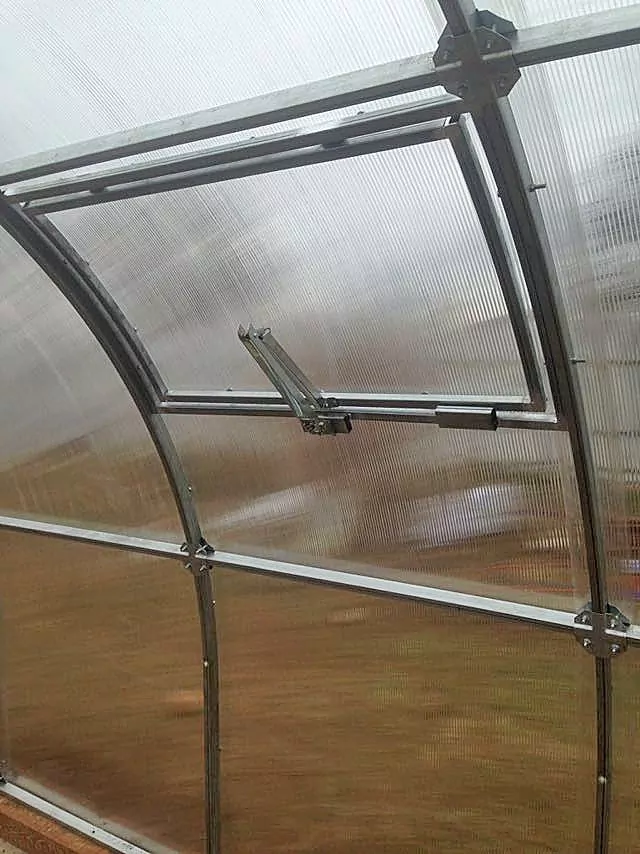 хороший урожай в теплице