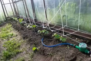 Набор капельного полива фото 1