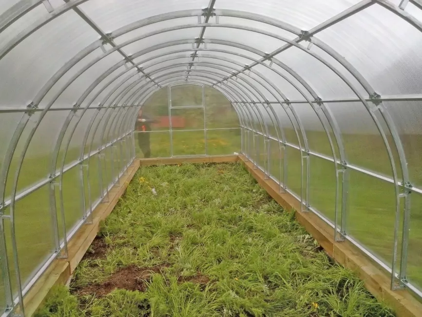 Теплица дешево