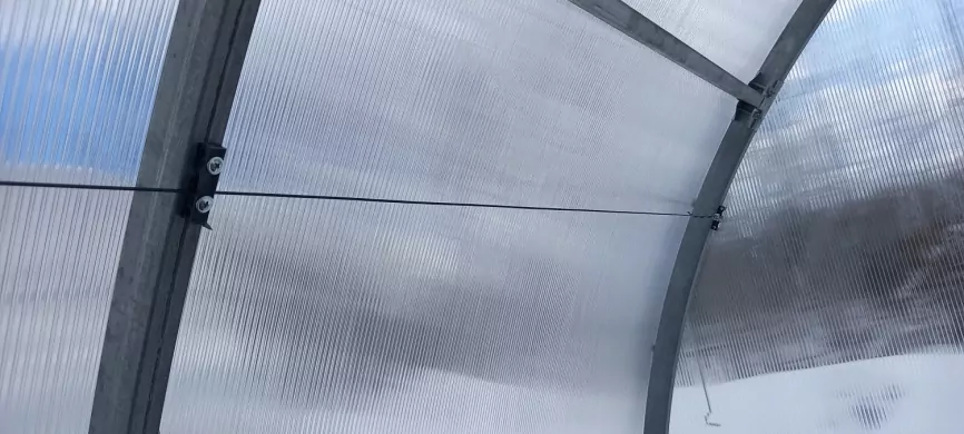 Подвязка в теплице фото 5