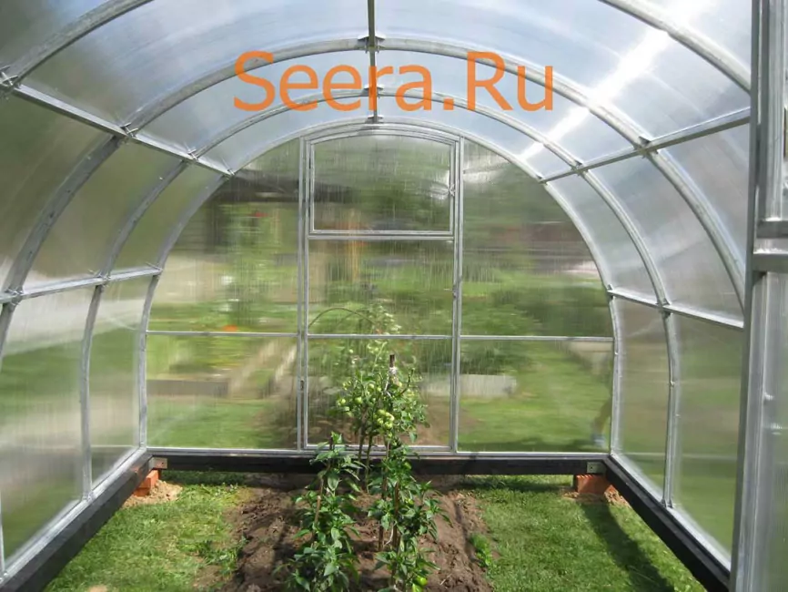 Теплица купить