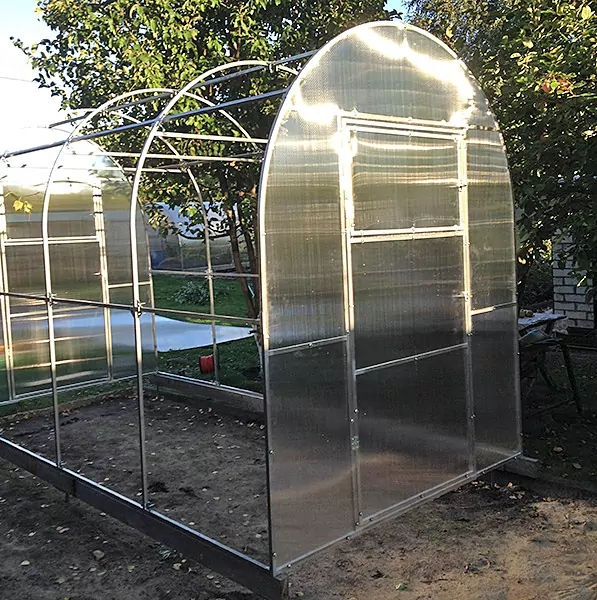 выращиваем в теплице