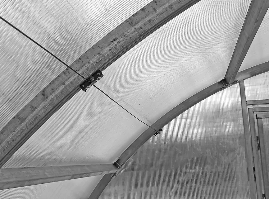 Подвязка в теплице фото 3