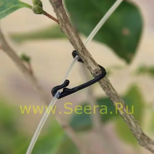 Клипсы для растений "Пряжка" фото 2