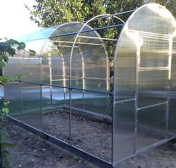 выращивания помидор