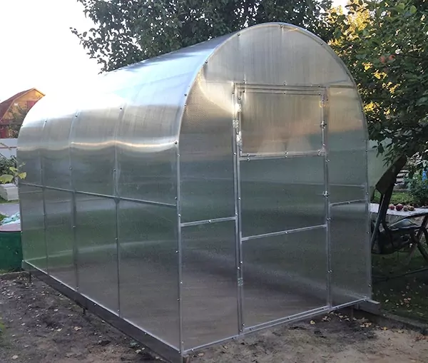 выращиваем огурцы