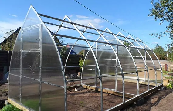 теплица купол