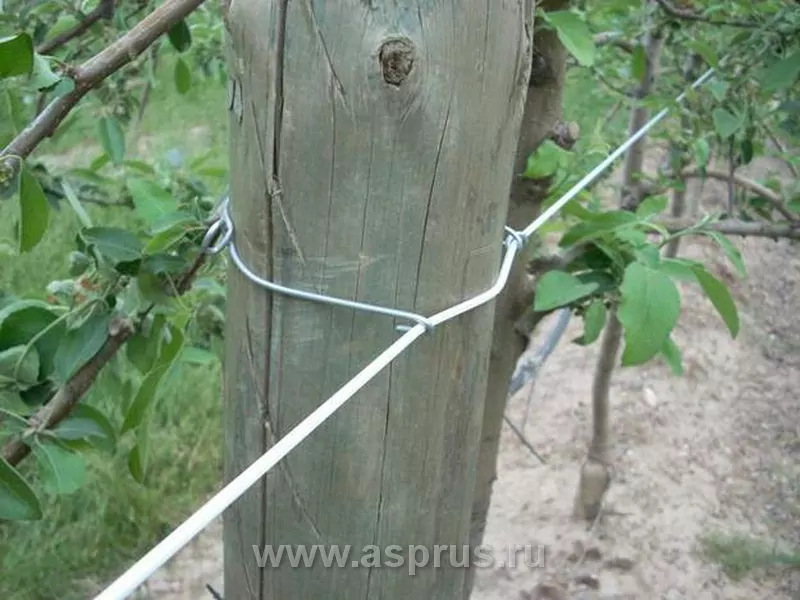 Агрошпалера пластиковая фото 8