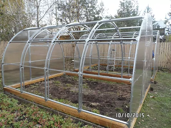 теплицы краб