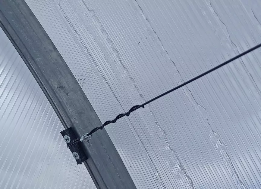 Подвязка в теплице фото 1