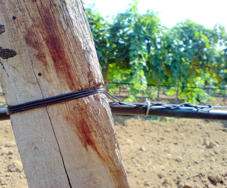 Трос для виноградников